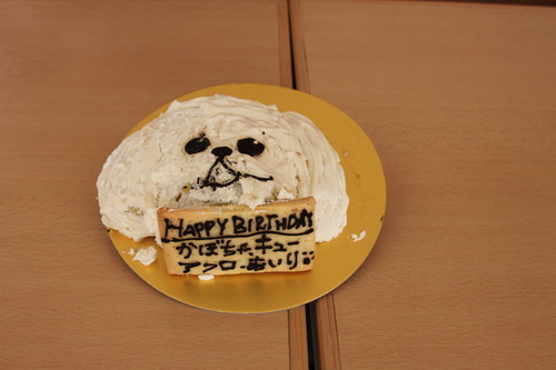 犬のケーキ